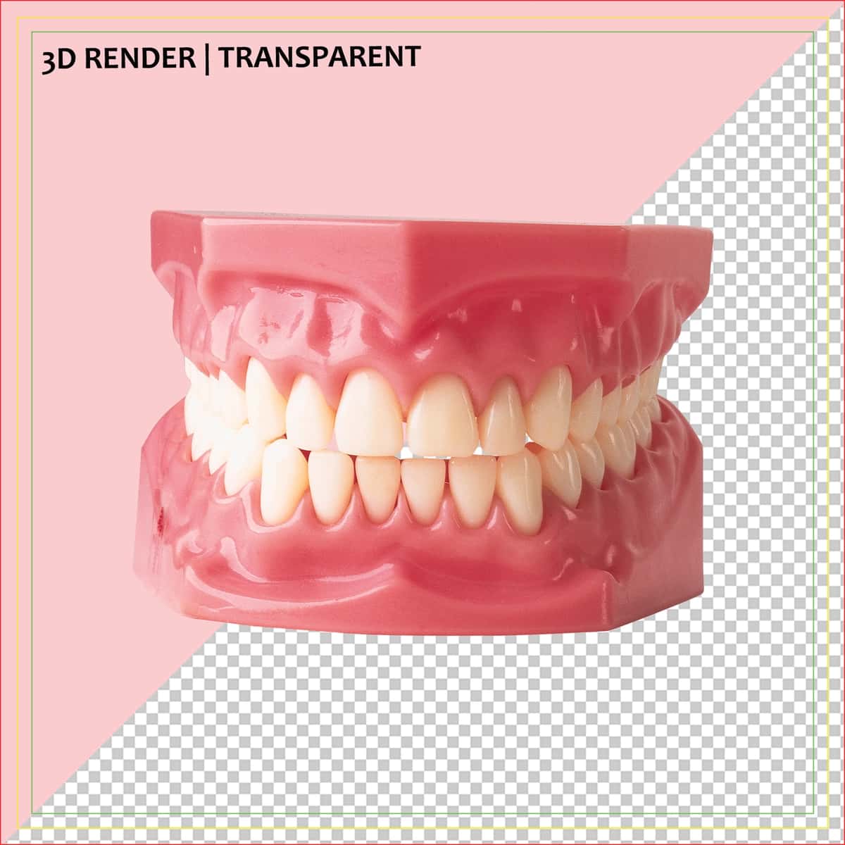 3D render stomatologiya modeli | 3d render dental model 1