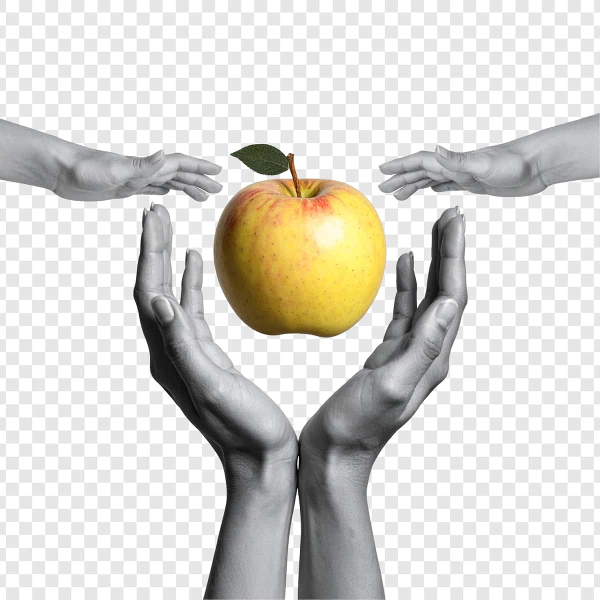 Sariq olma ushlab turgan qo'llar | Hands holding yellow apple 1