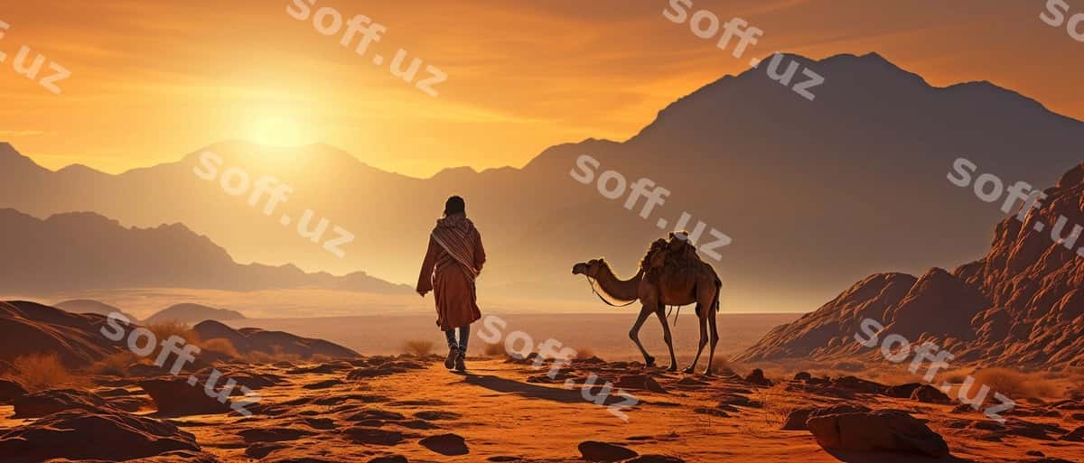 Cho'li yosh emiratiy g'amchaga boshqaradi. | Desert young emirati is leading camel 1