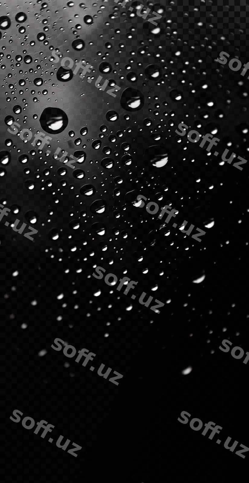 Yomg'ir tomchilari qora fonda | Drops rain black background 1