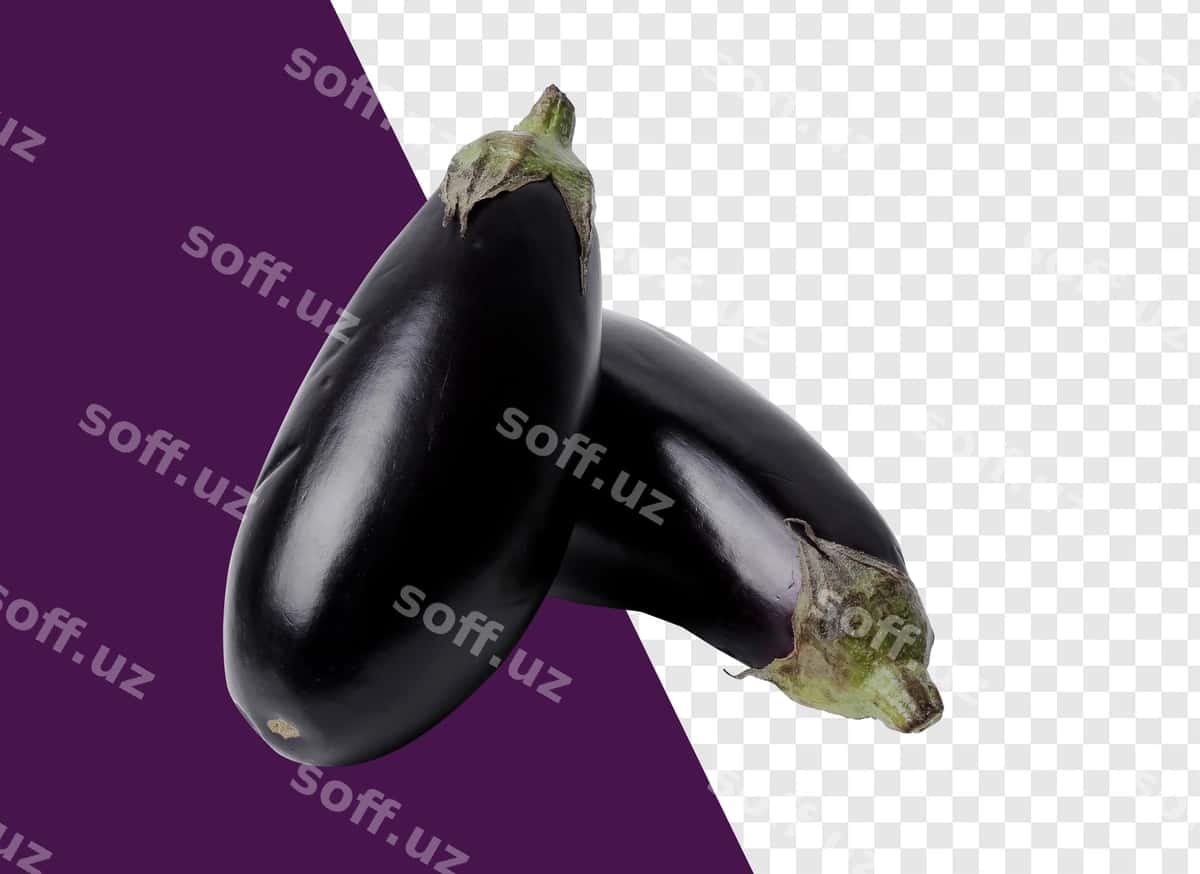 Baqalqiym shaffof orqa fonda | Eggplant transparent background 1
