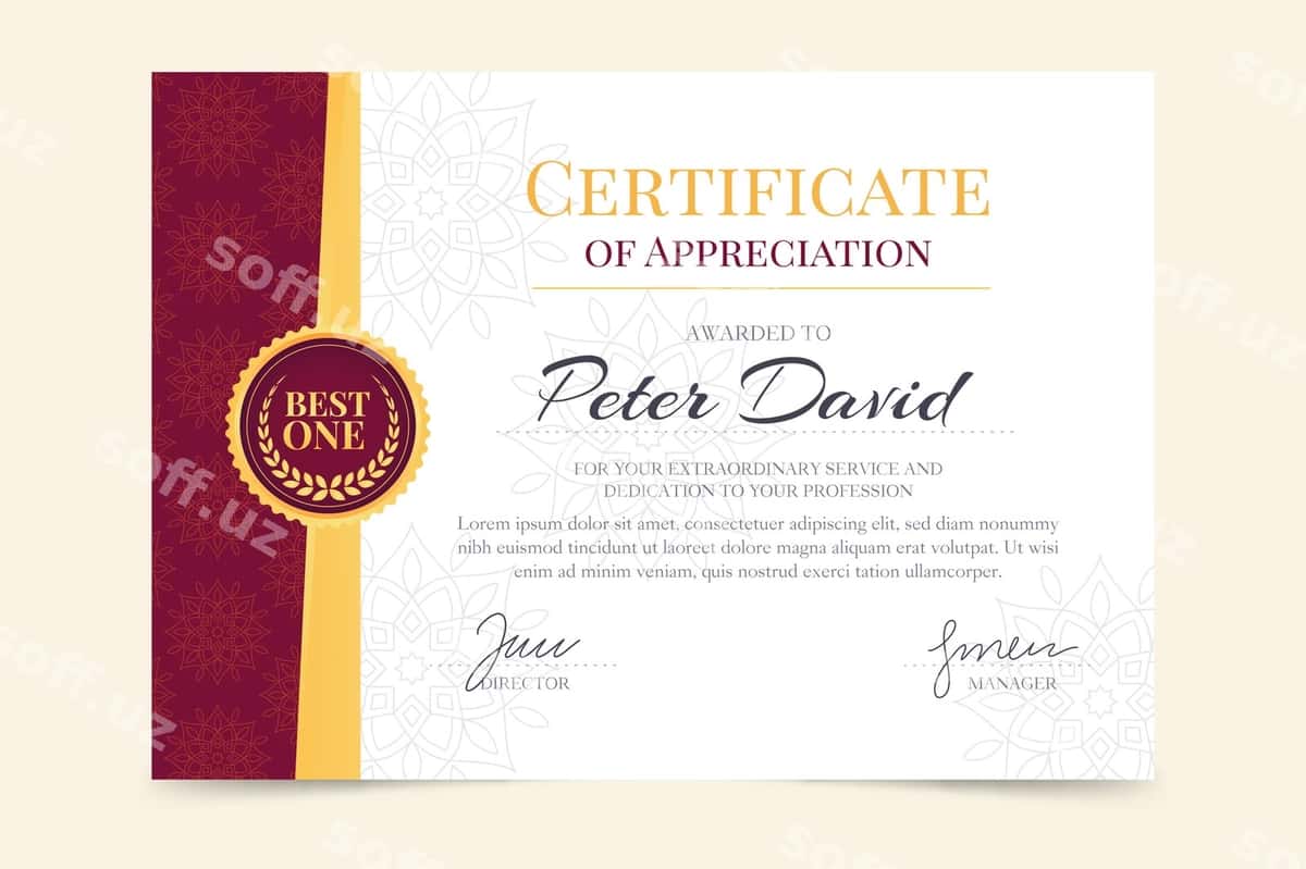 Elegant sertifikat shabloni | Elegant certificate template 1