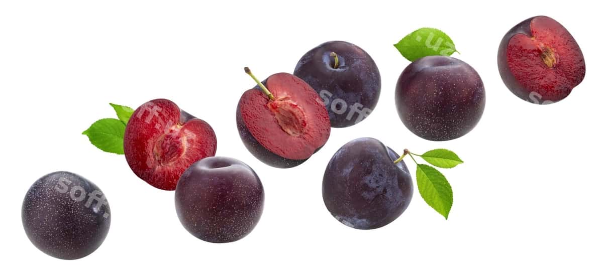 Tushadigan oʻriklar varaq bilan ajralgan | Falling plums with leaves isolated 1