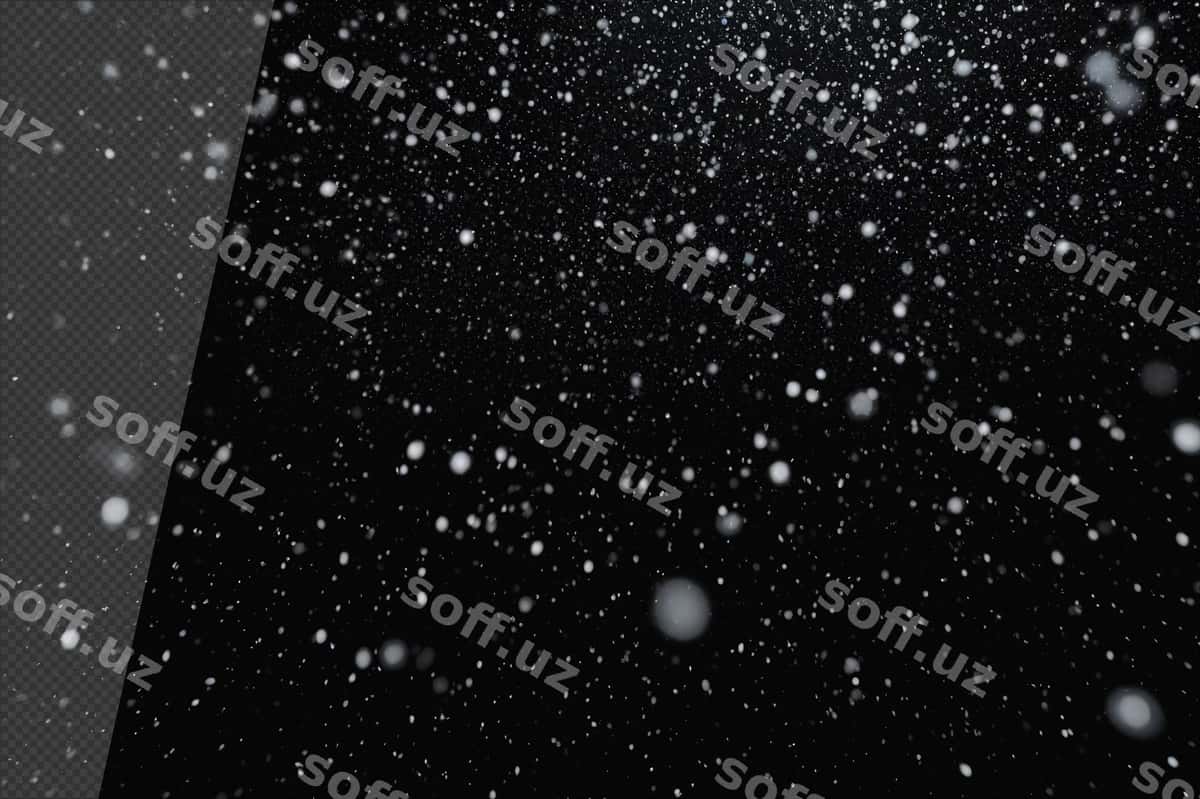 Yog'ayotgan qor | Falling snow 1