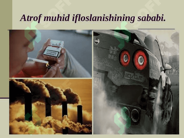 Ekologiya va muhit atrof 4