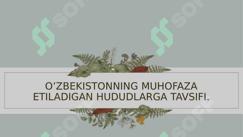 OʻZBEKISTONNING MUHOFAZA ETILADIGAN HUDUDLARGA TAVSIFI 2