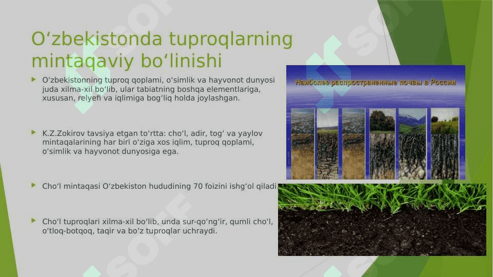Oʻzbekistonning togʻ va togʻoldi mintaqasi tuproqlari geografiyasi 3