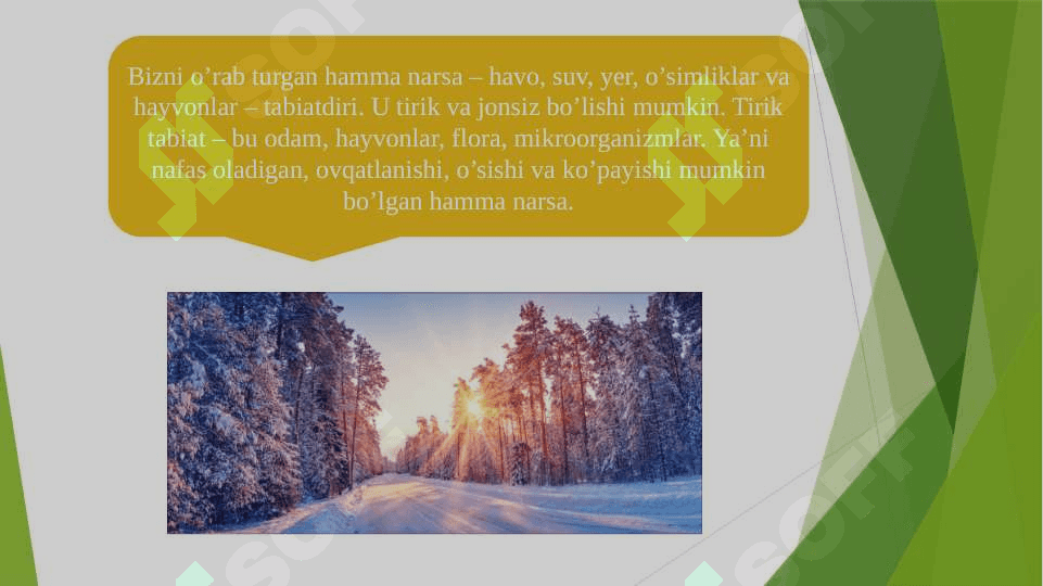 Jonli va jonsiz tabiat 3
