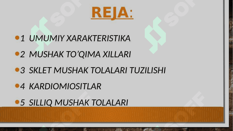 Mushak to'qimalari 2