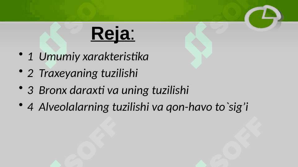 Nafas olish sistemasi tuzilishi 2