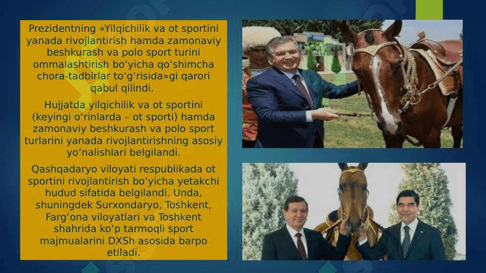 Yilqichilik 3