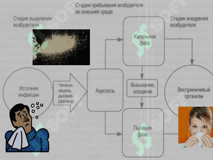 Nafas yo`llari infeksiyalarining epidemiologiyasi va profilaktikasi 4