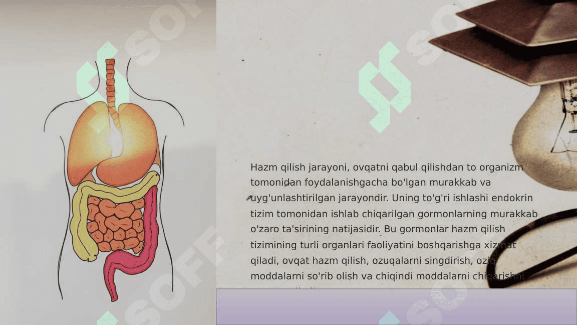 HAZMLANISH JARAYONINING ENDOKRIN BOSHQARILUVI 2