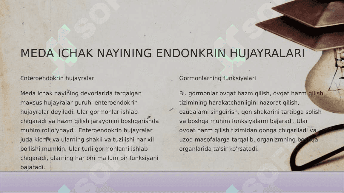 HAZMLANISH JARAYONINING ENDOKRIN BOSHQARILUVI 3