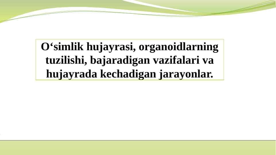 O‘simlik hujayrasi, organoidlarning tuzilishi, bajaradigan vazifalari va hujayrada kechadigan jarayonlar. 1