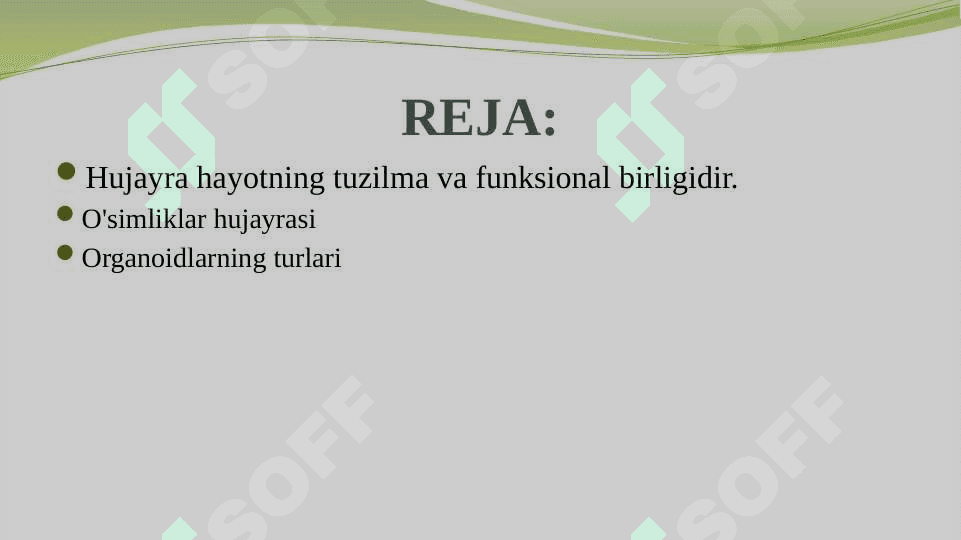 O‘simlik hujayrasi, organoidlarning tuzilishi, bajaradigan vazifalari va hujayrada kechadigan jarayonlar. 2