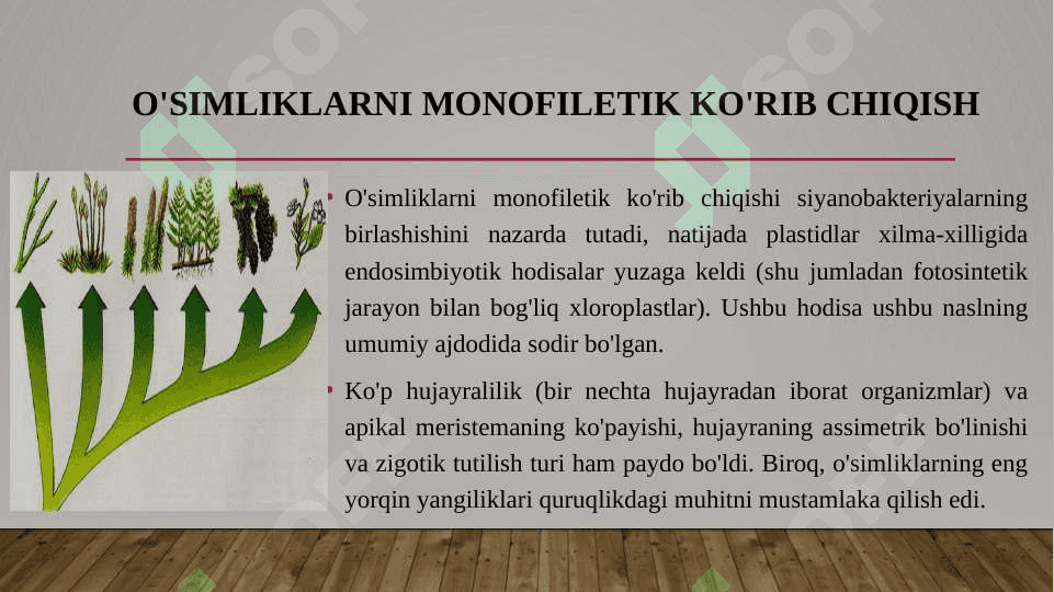 O‘simliklar evolyusiyasi va tirik tabiatning tarixiy jarayonda paydo bo‘lishi 4