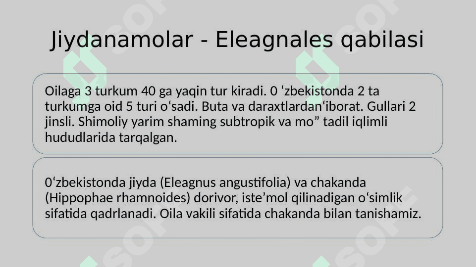 JIYDANAMOLAR 2