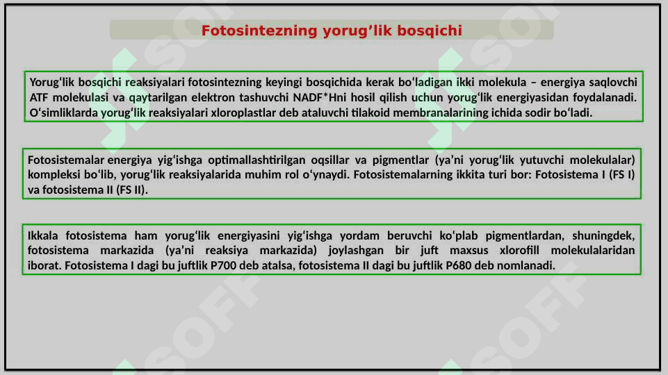 FOTOSINTEZNING TABIATDA TUTGAN O’RNI 7