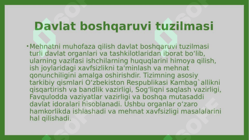 Mehnatni Muhofaza Qilish Davlat Boshqaruvi Tuzilmasi 3