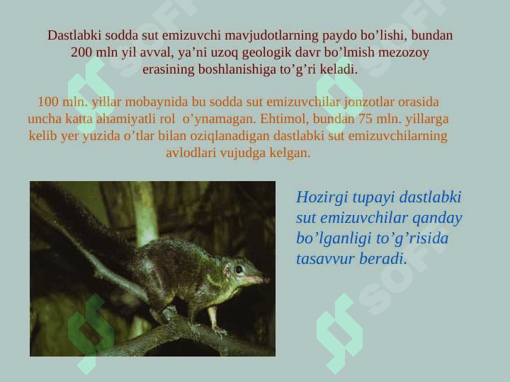 Odamning  paydo bo'lishi 6