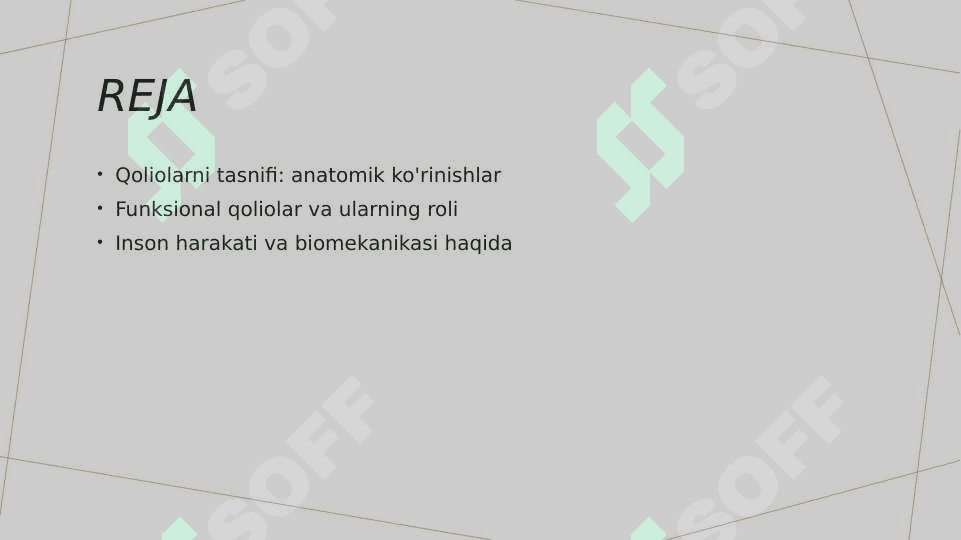 Qoliolar va ularning tasnifi . Anatomik va funksional qoliplar 2