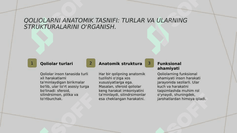Qoliolar va ularning tasnifi . Anatomik va funksional qoliplar 3