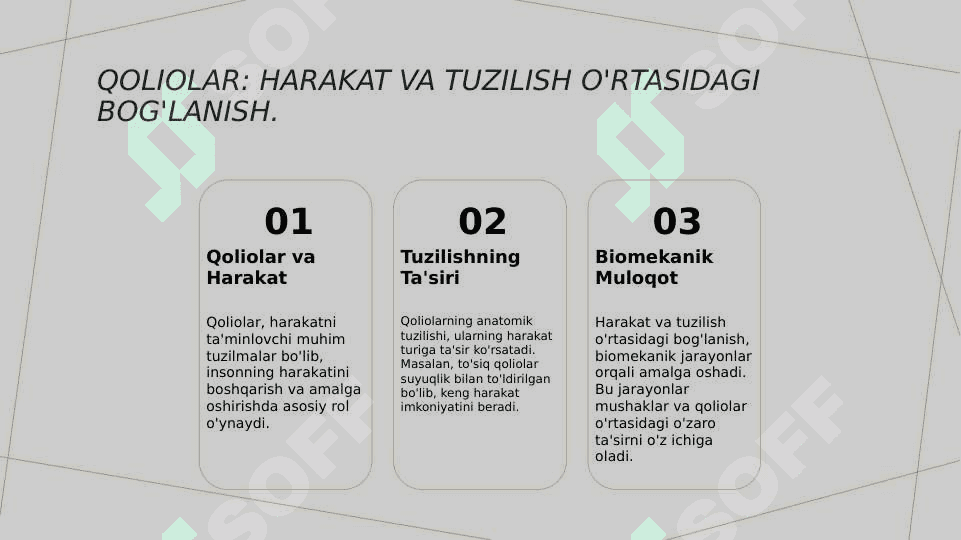 Qoliolar va ularning tasnifi . Anatomik va funksional qoliplar 4