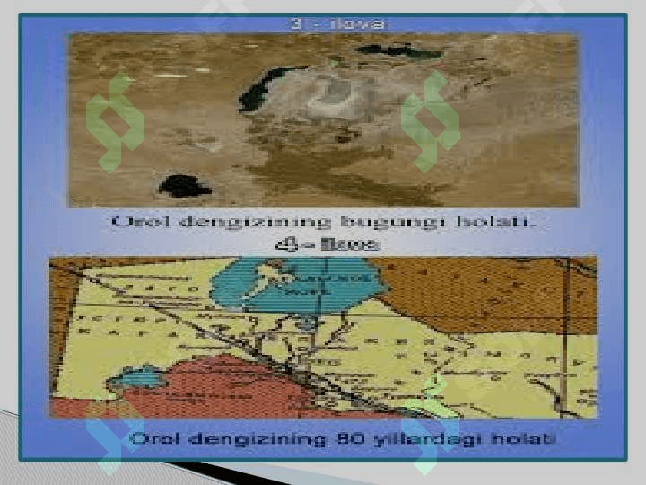 Mustabid  tuzumida O’zbekistondagi ekologik muammolar 7
