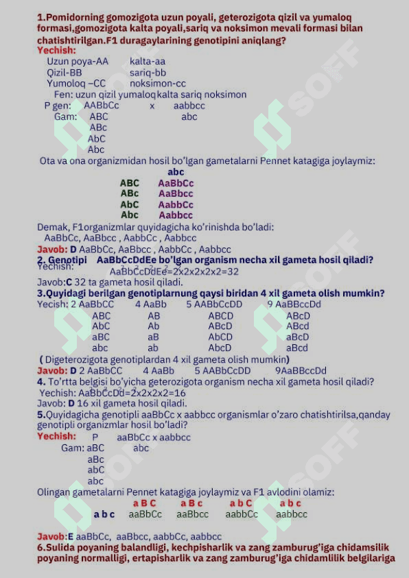 Genetikadan masalalar yechish 8