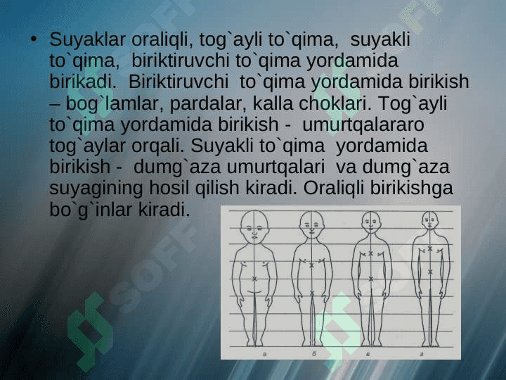 Bolalarda qaddi qomatning shakllanishi va kamchiliklari 7