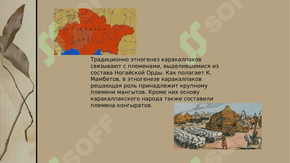 этнический состав каракалпаков 4