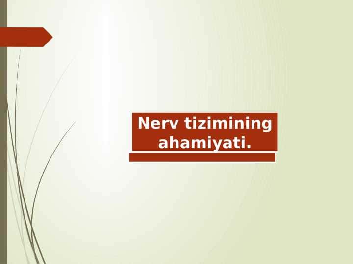 Nerv tizimining ahamiyati. 1
