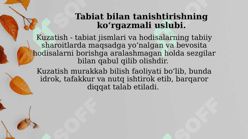 Kichik va o’rta guruhda tabiatni kuzatish ishlarini tashkil etish mazmuni 2