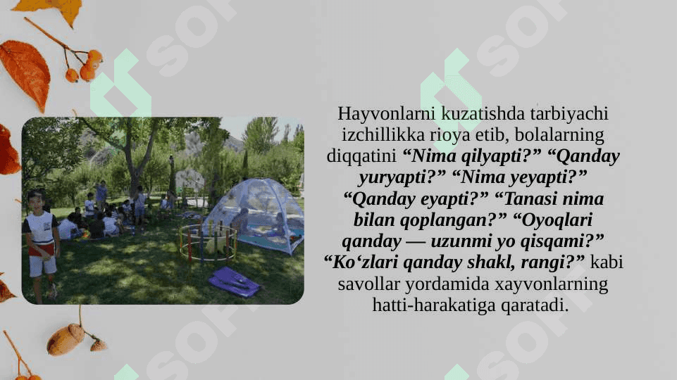 Kichik va o’rta guruhda tabiatni kuzatish ishlarini tashkil etish mazmuni 6
