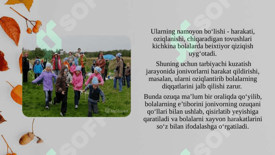 Kichik va o’rta guruhda tabiatni kuzatish ishlarini tashkil etish mazmuni 8