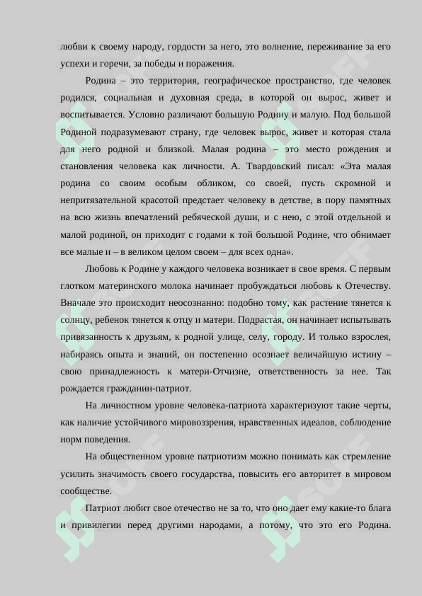 Что такое Патриотизм 5