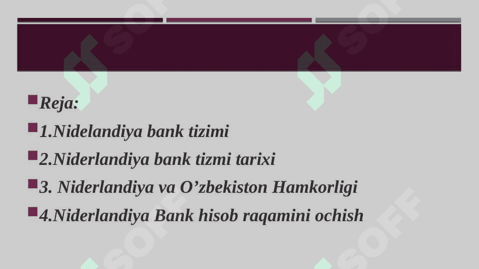 NideRlandiya bank tizimi 2