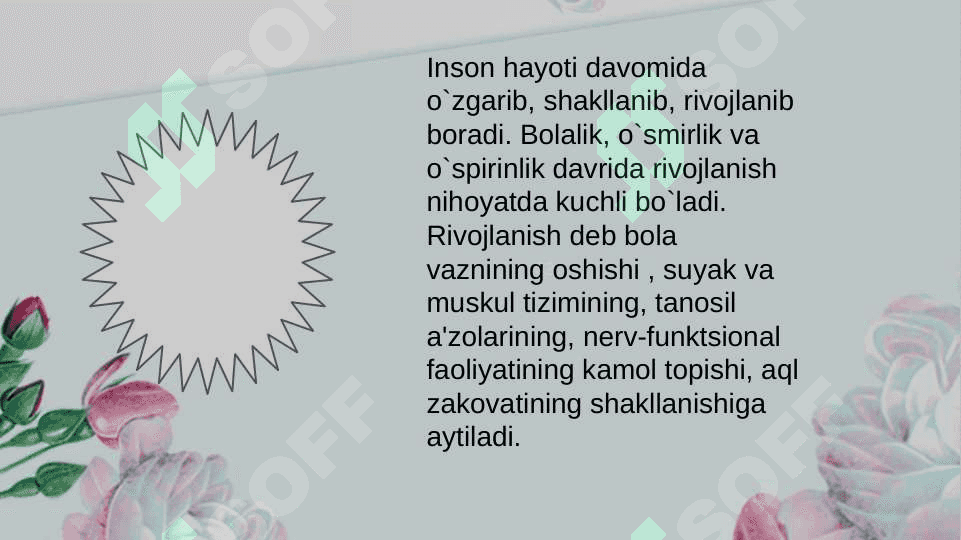BOLANING SOTSIUMDA RIVOANISHI. 5