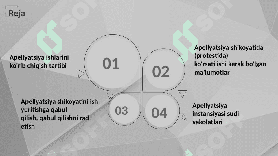 Apellyatsiya instansiyasida ish yuritish 2