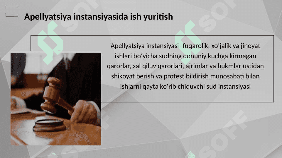 Apellyatsiya instansiyasida ish yuritish 3