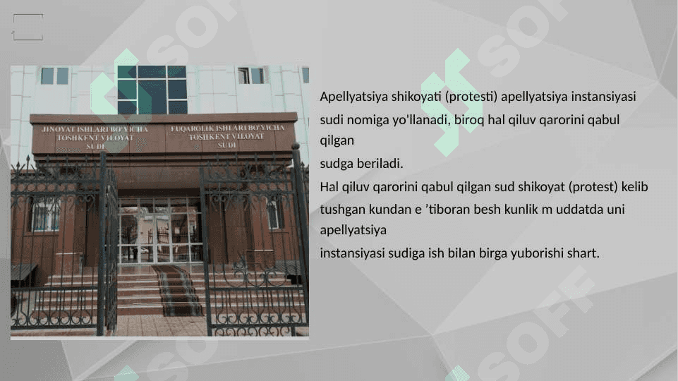 Apellyatsiya instansiyasida ish yuritish 6