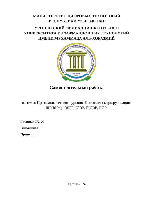 Протоколы сетевого уровня. Протоколы маршрутизации RIP RIPng, OSPF, IGRP, EIGRP, BGP