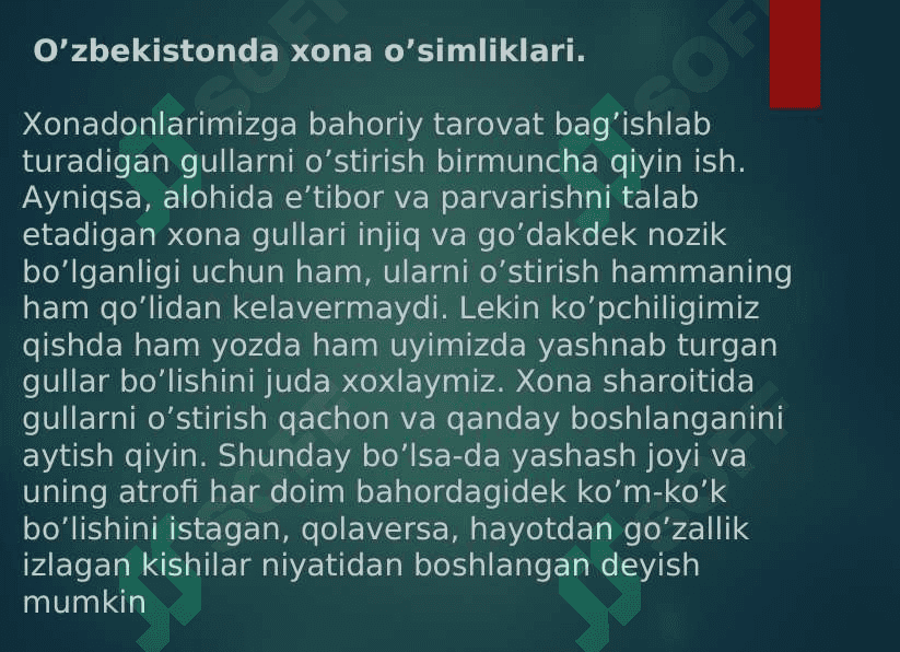 Manzarali xona o`simligi 6