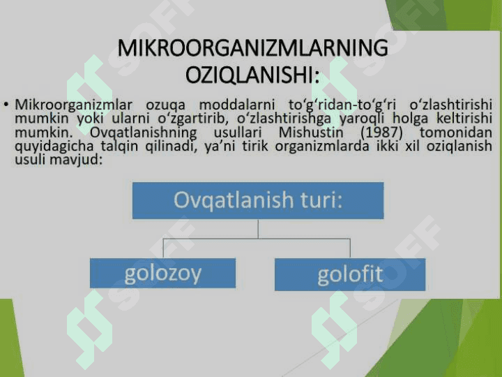 MIKROORGANIZMLARNING OZIQLANISHI 6