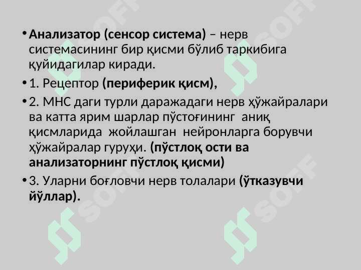 СЕНСОР ТИЗИМЛАР ФИЗИОЛОГИЯСИ 2