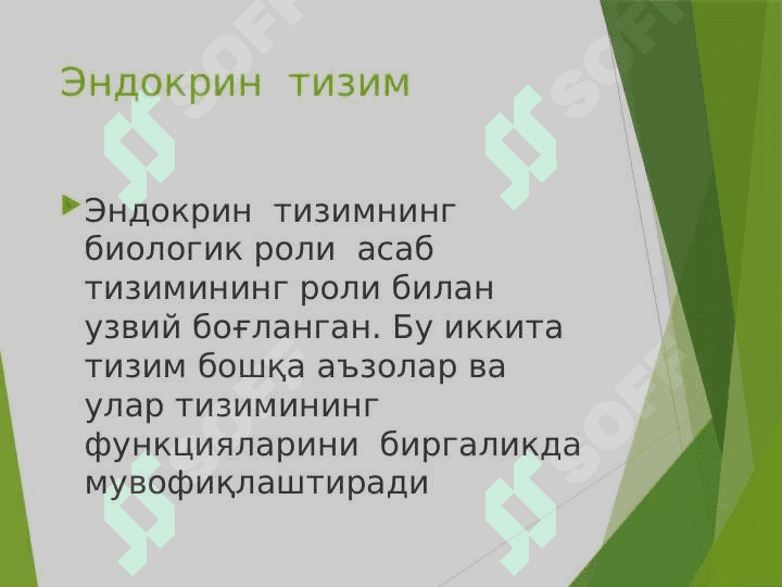 Эндокрин тизим физиологияси 3