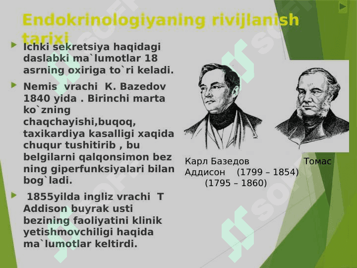 Эндокрин тизим физиологияси 7