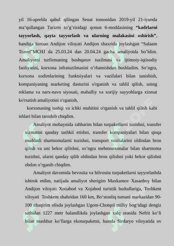 Salaam Travel firmasining kelib chiqish tarixi va tashkiliy tuzilmasi 3