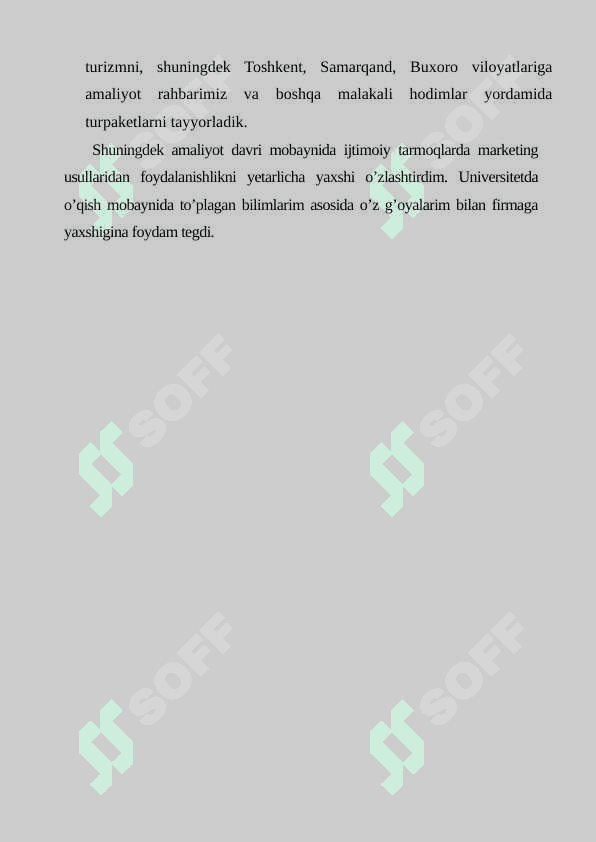 Salaam Travel firmasining kelib chiqish tarixi va tashkiliy tuzilmasi 4